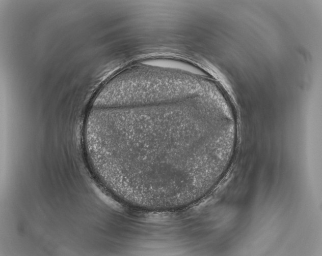 X0000111620105200908281121