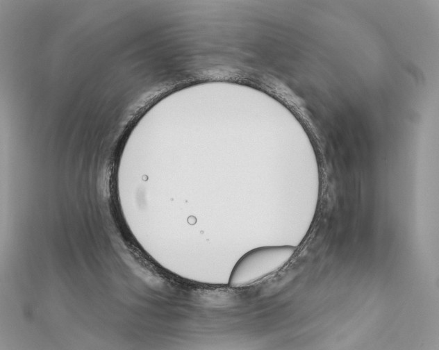 X0000111620106200908281121