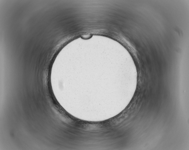 X0000111620107200908281121