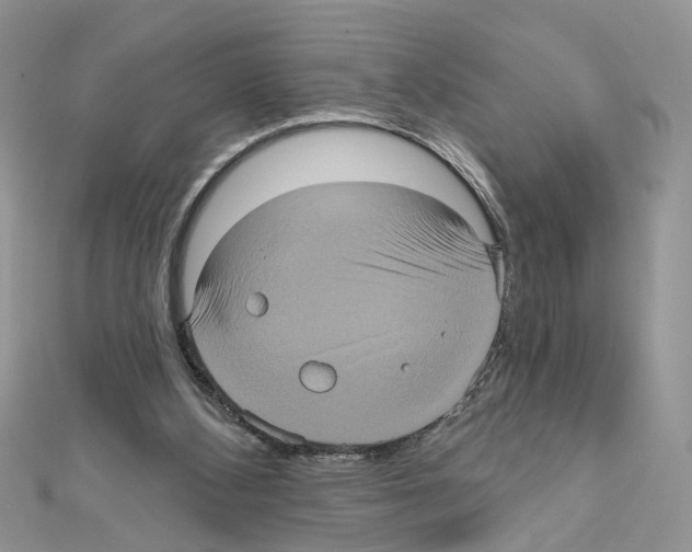 X0000111620108200908281121