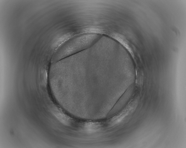 X0000111620109200908281121