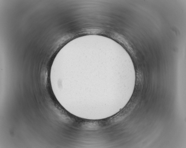 X0000111620110200908281121