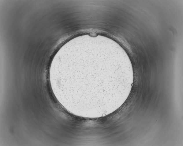 X0000111620111200908281121