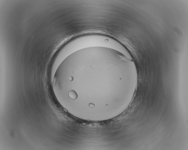 X0000111620112200908281121