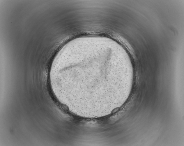 X0000111620113200908281121