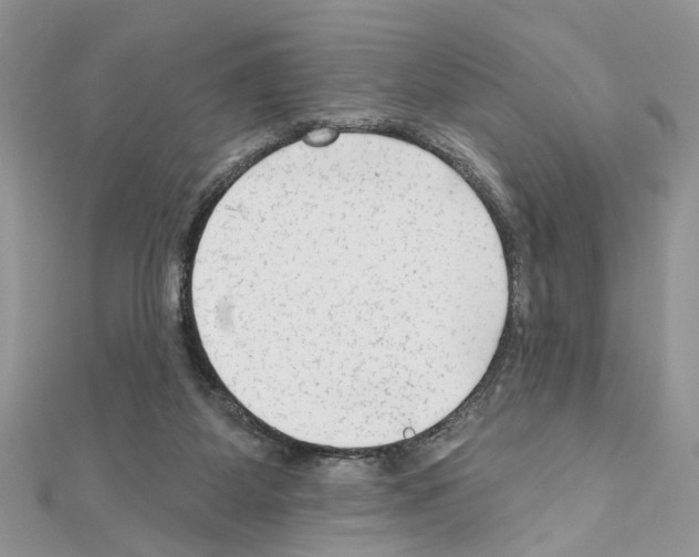 X0000111620115200908281121