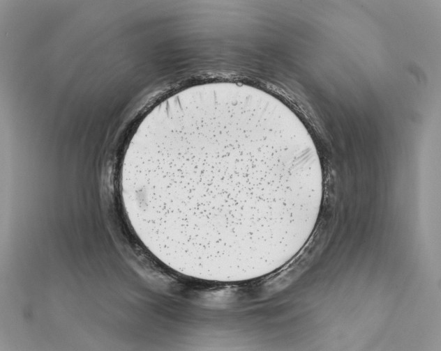 X0000111620116200908281121