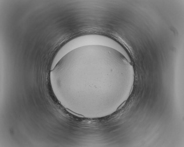 X0000111620117200908281121