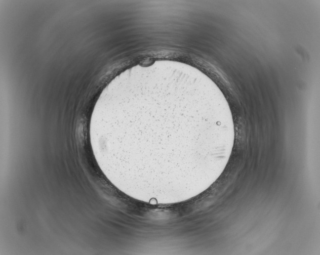 X0000111620119200908281121