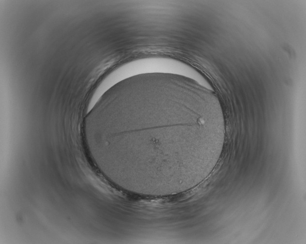 X0000111620120200908281121