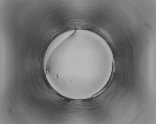 X0000111620121200908281121