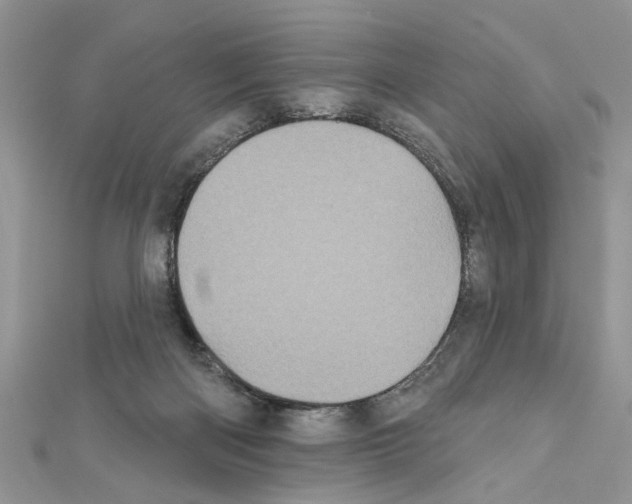 X0000111620122200908281121