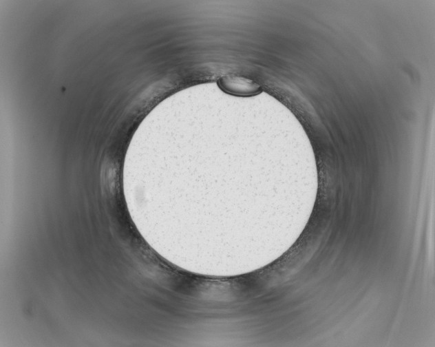 X0000111620123200908281121