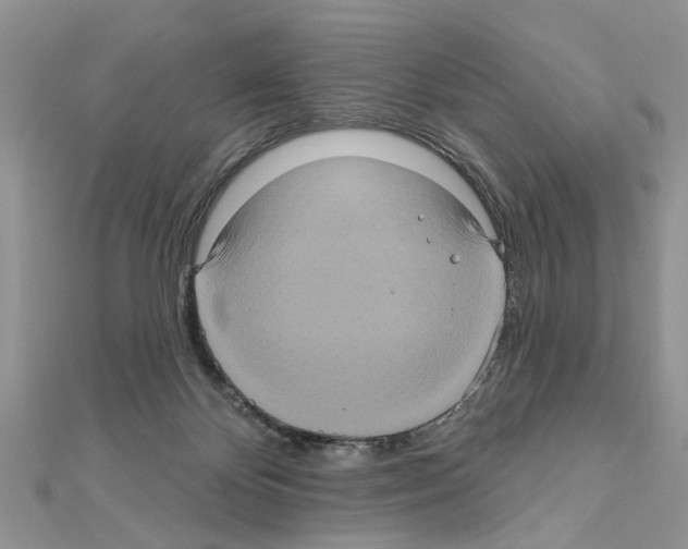 X0000111620124200908281121