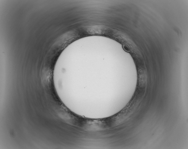 X0000111620125200908281121