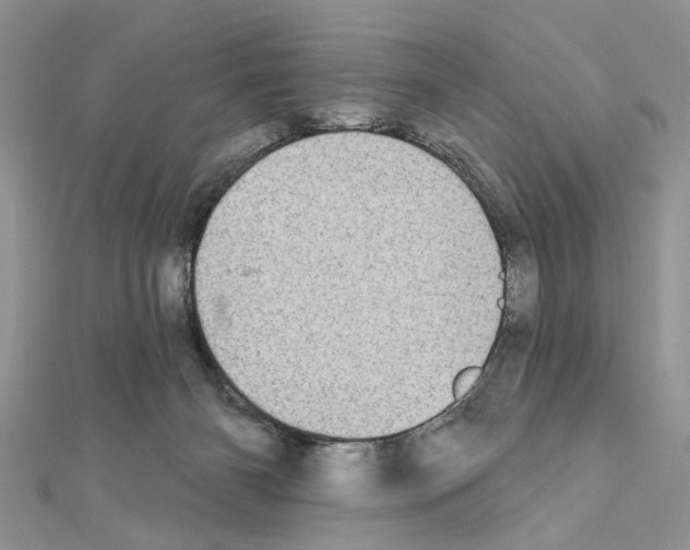 X0000111620126200908281121