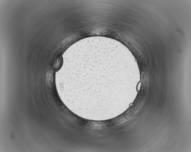 X0000111620127200908281121