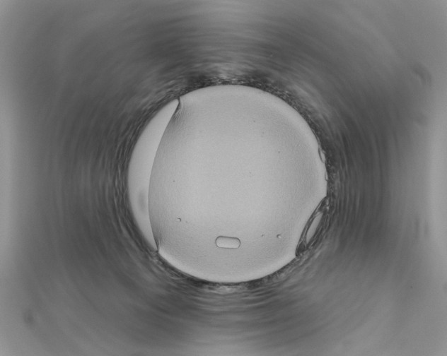 X0000111620129200908281121