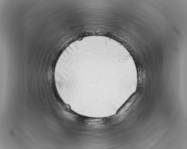 X0000111620132200908281121