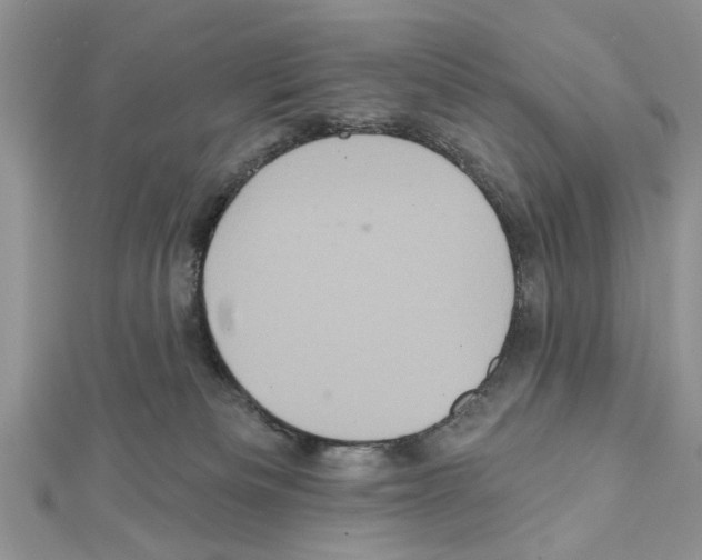 X0000111620133200908281121