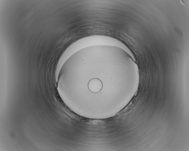 X0000111620137200908281121