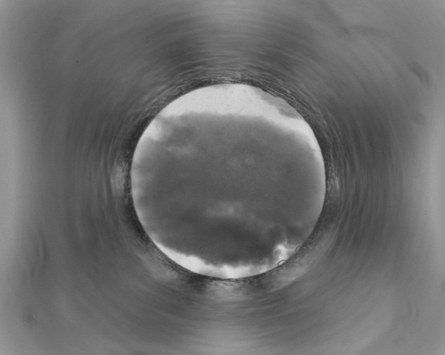 X0000111620139200908281121