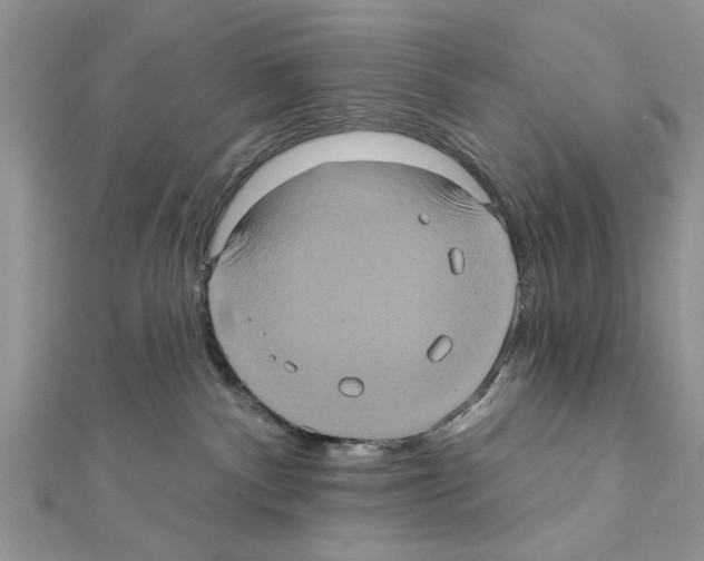 X0000111620140200908281121