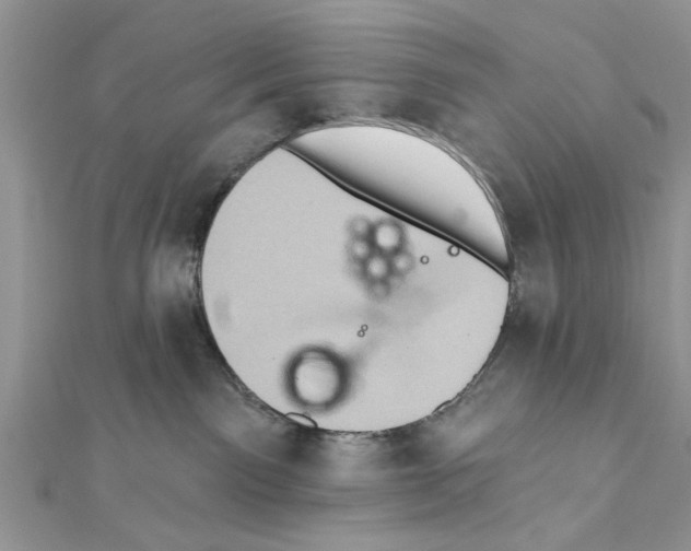 X0000111620141200908281121