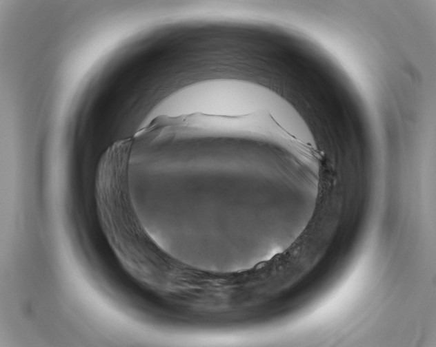 X0000111620143200908281121