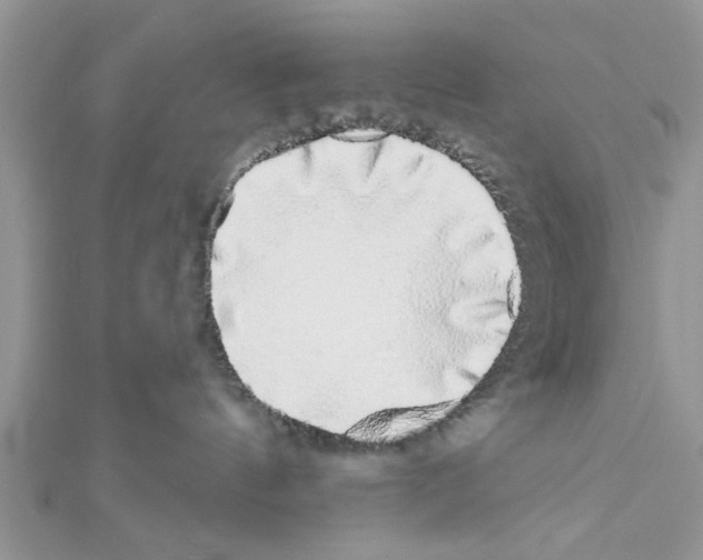 X0000111620144200908281121