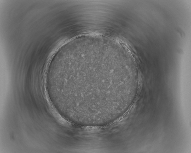 X0000111620145200908281120