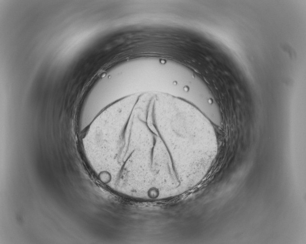 X0000111620146200908281120