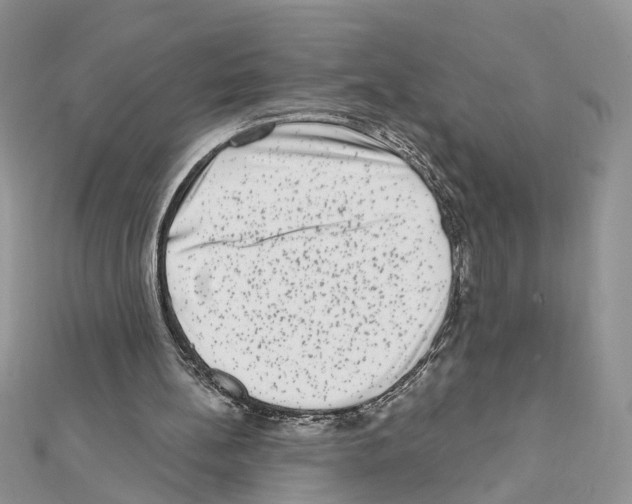 X0000111620148200908281120