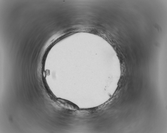 X0000111620150200908281120