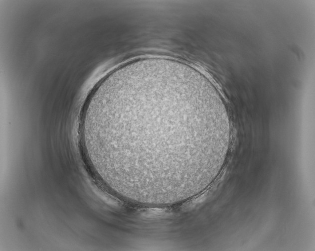 X0000111620151200908281120