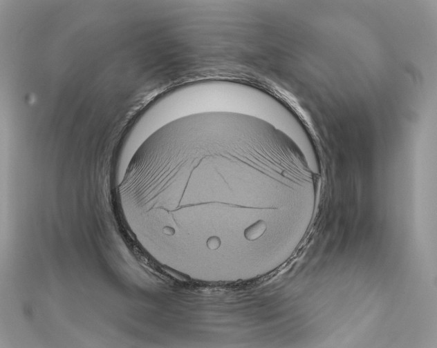 X0000111620154200908281120