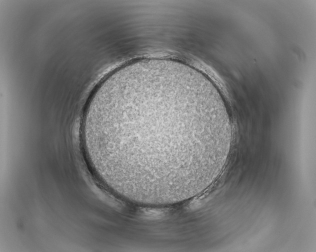 X0000111620155200908281120