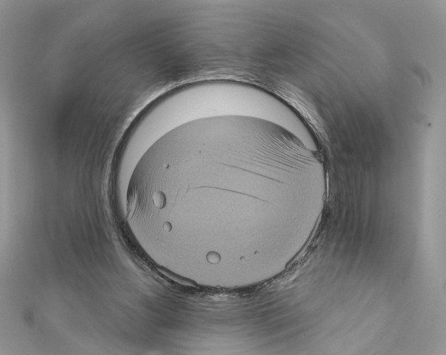 X0000111620156200908281120