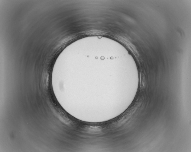 X0000111620157200908281120