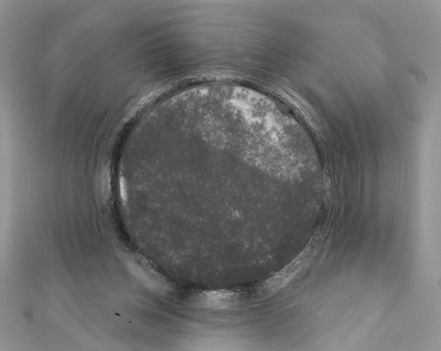 X0000111620158200908281120