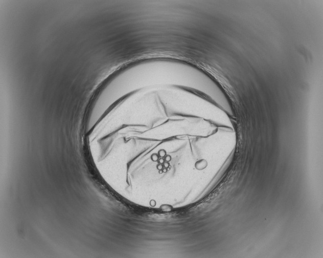 X0000111620160200908281120