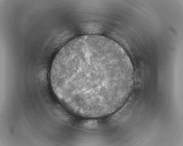 X0000111620162200908281120