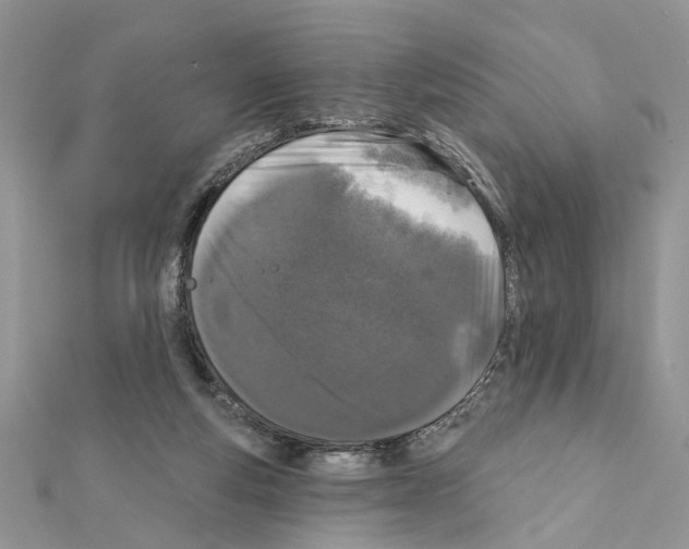 X0000111620163200908281120