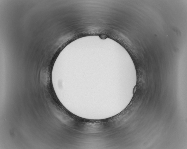 X0000111620164200908281120