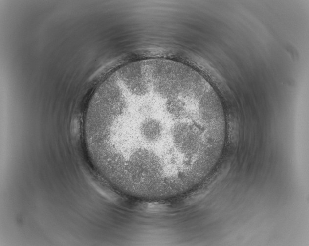 X0000111620165200908281120