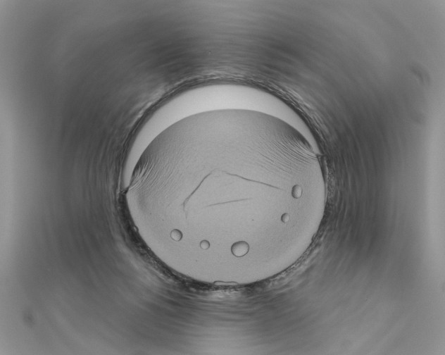 X0000111620168200908281120