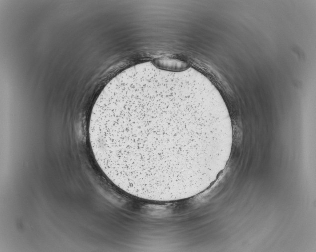 X0000111620170200908281120