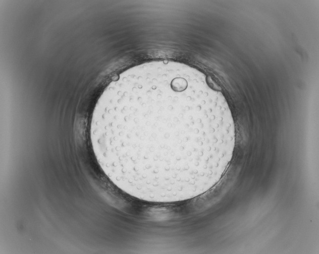 X0000111620171200908281120