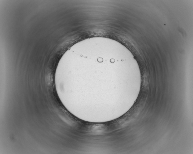 X0000111620173200908281120