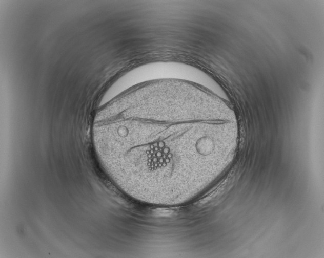 X0000111620176200908281121